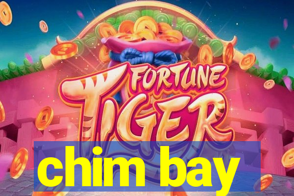 chim bay