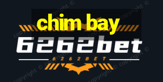 chim bay