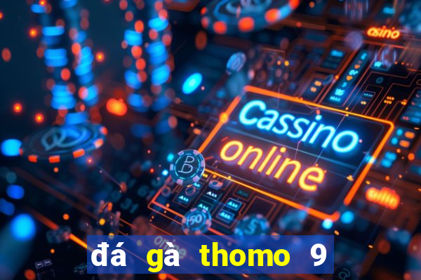 đá gà thomo 9 tháng 12