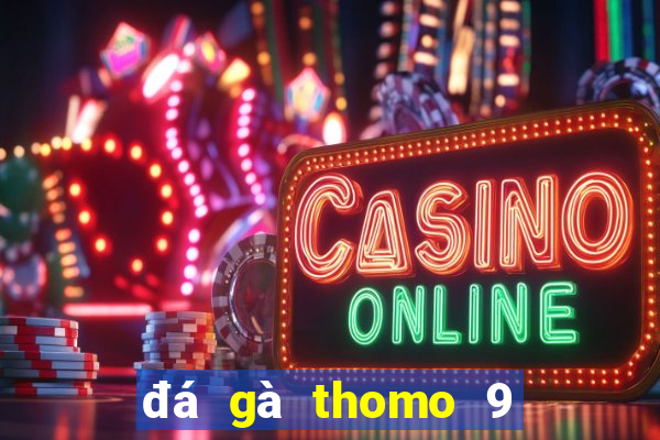 đá gà thomo 9 tháng 12