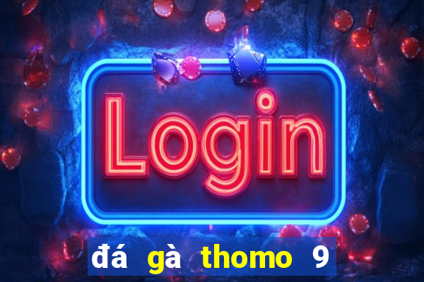 đá gà thomo 9 tháng 12