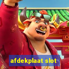 afdekplaat slot