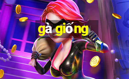 gà giống