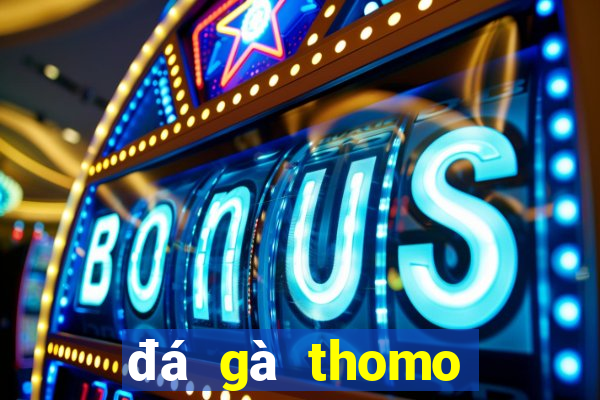 đá gà thomo ngày 10