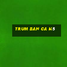 trum ban ca h5