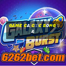 game cá cược bóng đá