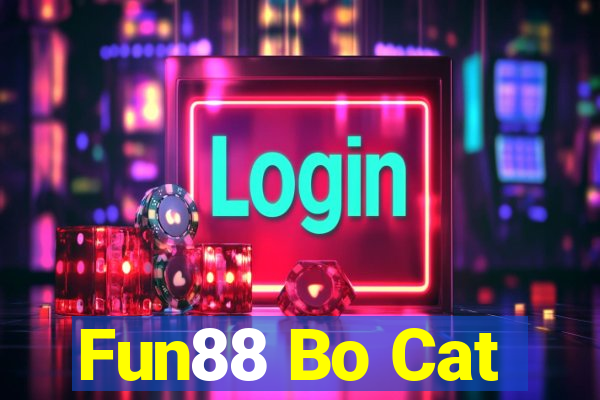 Fun88 Bo Cat