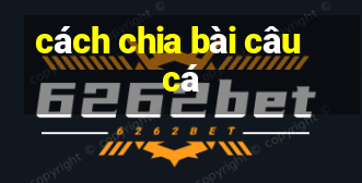 cách chia bài câu cá