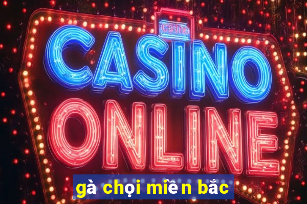 gà chọi miền bắc