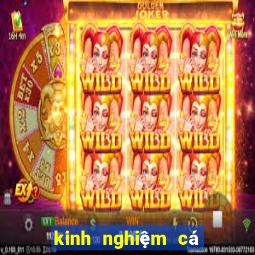 kinh nghiệm cá cược bóng đá