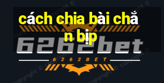 cách chia bài chắn bịp