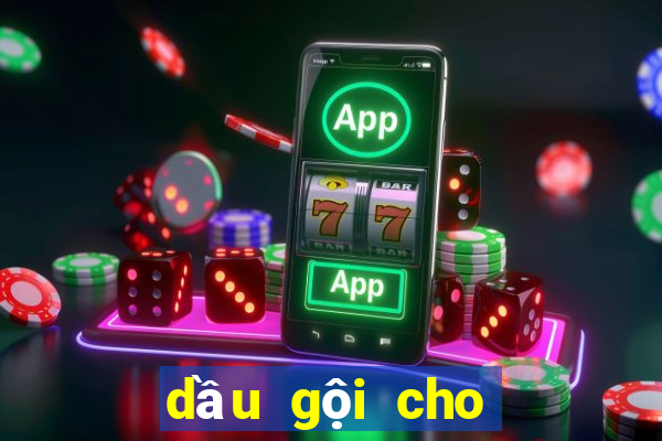 dầu gội cho tóc bết dầu