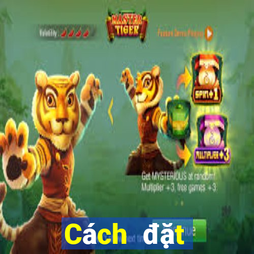 Cách đặt cược XSQT ngày 15