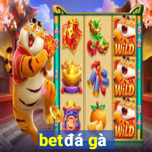 bet đá gà