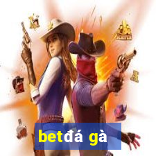 bet đá gà