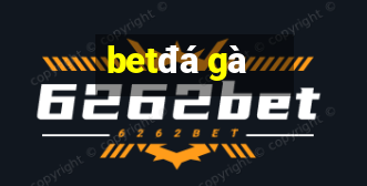 bet đá gà