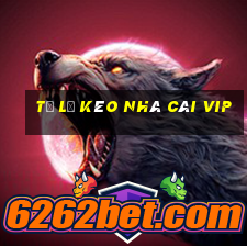 tỷ lệ kèo nhà cái vip