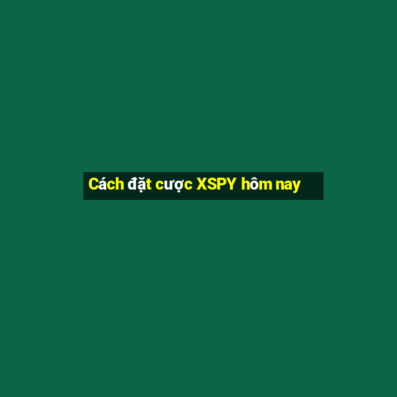 Cách đặt cược XSPY hôm nay