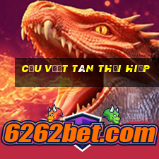 cầu vượt tân thới hiệp