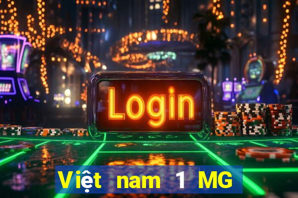 Việt nam 1 MG điện tử