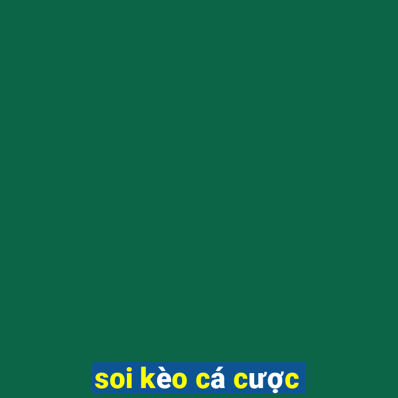 soi kèo cá cược