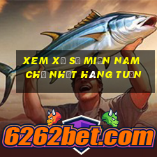 xem xổ số miền nam chủ nhật hàng tuần