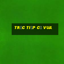 trực tiếp cờ vua