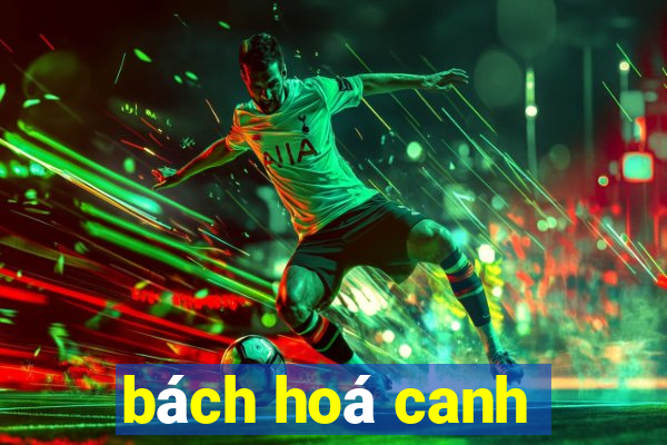 bách hoá canh