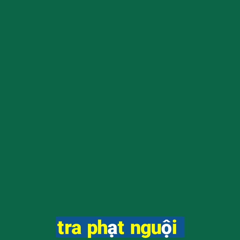 tra phạt nguội