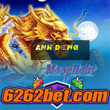 ánh dương