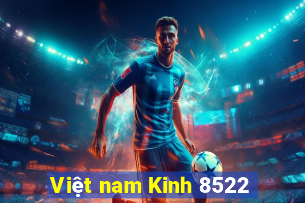 Việt nam Kinh 8522