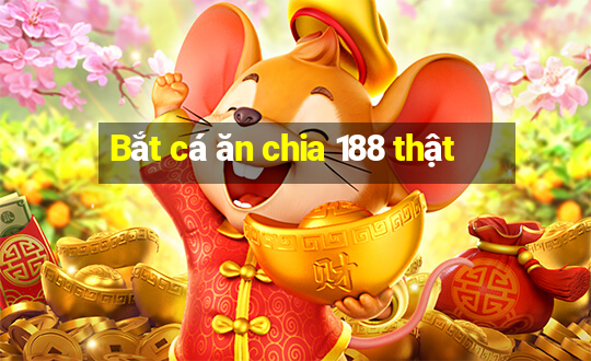 Bắt cá ăn chia 188 thật