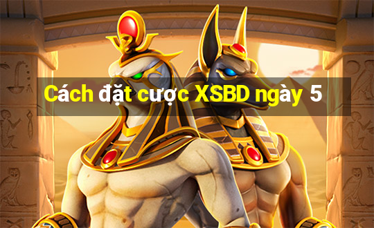 Cách đặt cược XSBD ngày 5