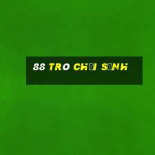 88 Trò Chơi Sảnh