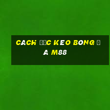 cách đọc kèo bóng đá m88