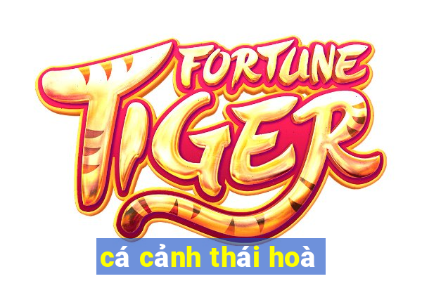 cá cảnh thái hoà