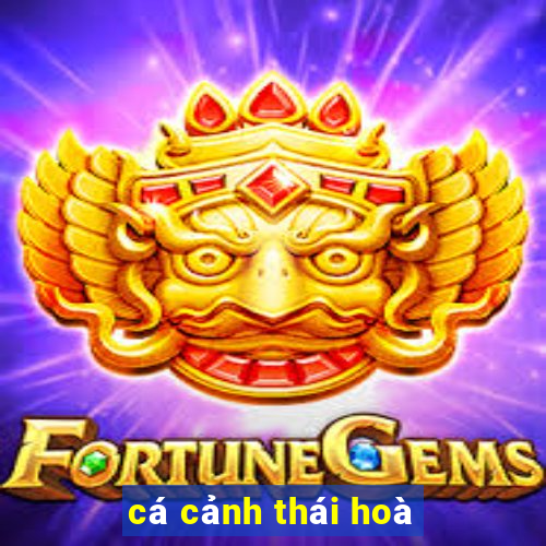 cá cảnh thái hoà