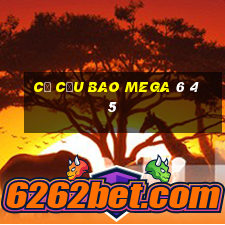 cơ cấu bao mega 6 45