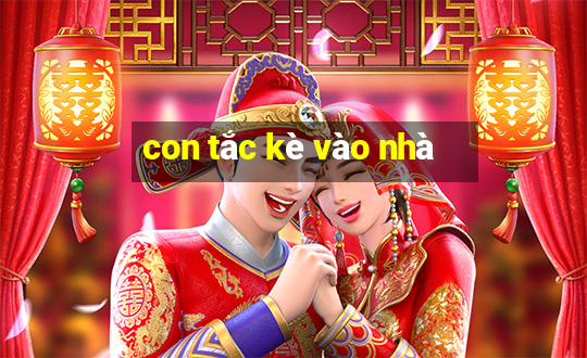 con tắc kè vào nhà