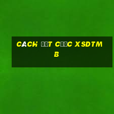 Cách đặt cược XSDTMB