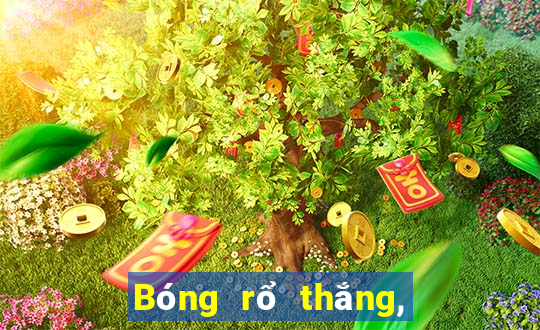 Bóng rổ thắng, hòa và thua