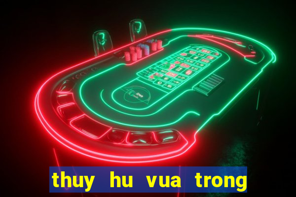 thuy hu vua trong thoi thien tap 11