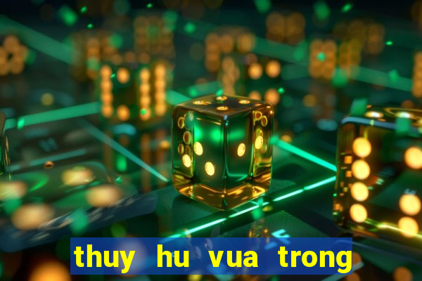 thuy hu vua trong thoi thien tap 11