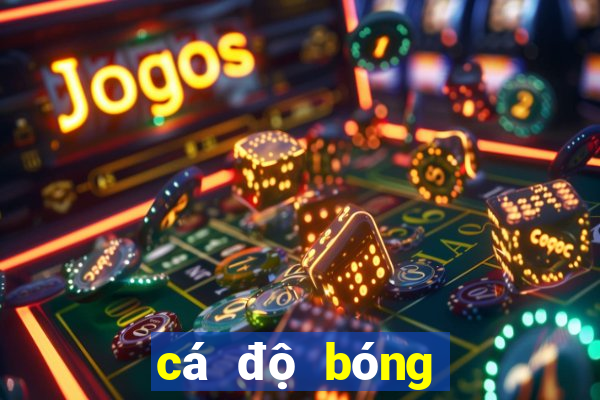 cá độ bóng đá online dongtamlongan