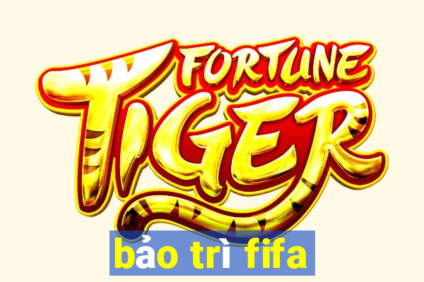 bảo trì fifa