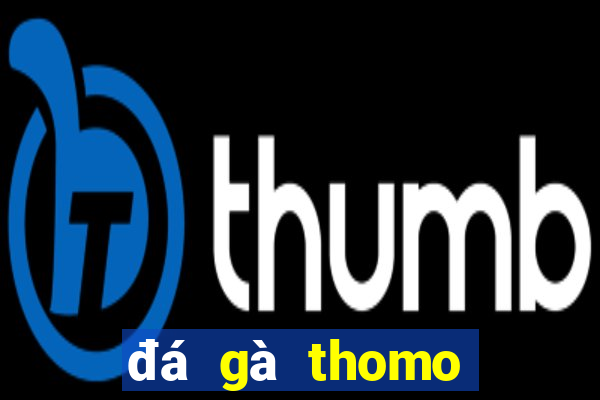 đá gà thomo hôm nay trận 21