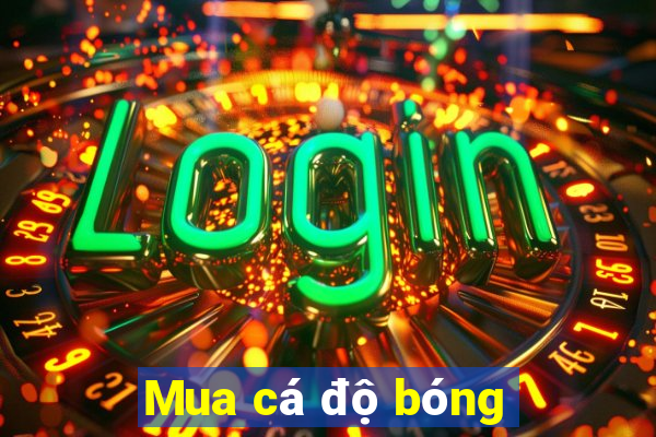 Mua cá độ bóng