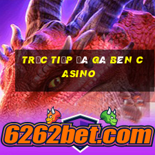 trực tiếp đá gà bên casino