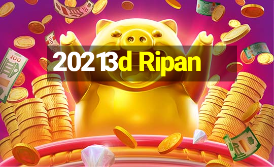 20213d Ripan