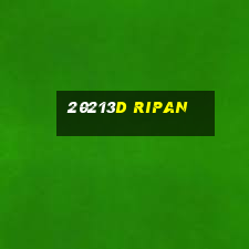 20213d Ripan